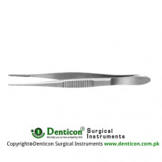 Bonaccolto Conjunctival Forcep Longitudinal Serrated Jaws with Cross Serrations at Tips Stainless Steel, 10.5 cm - 4" Tip Width 1.7 mm